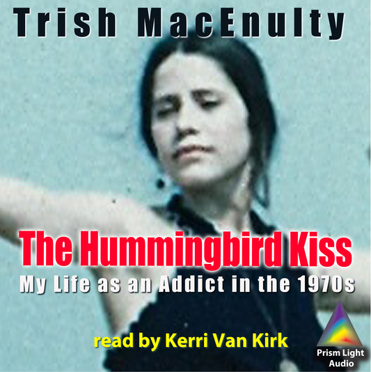 The Hummingbird Kiss audiobook