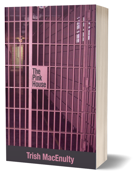 The Pink House paperback