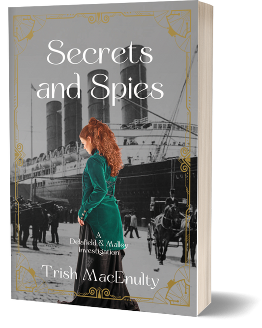 Secrets and Spies paperback